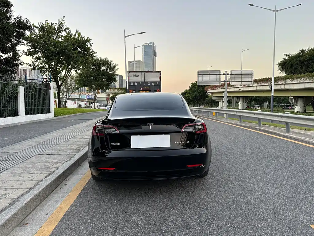 Tesla Model 3 — миниатюра 14