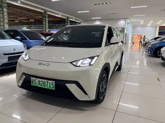 BYD Seagull