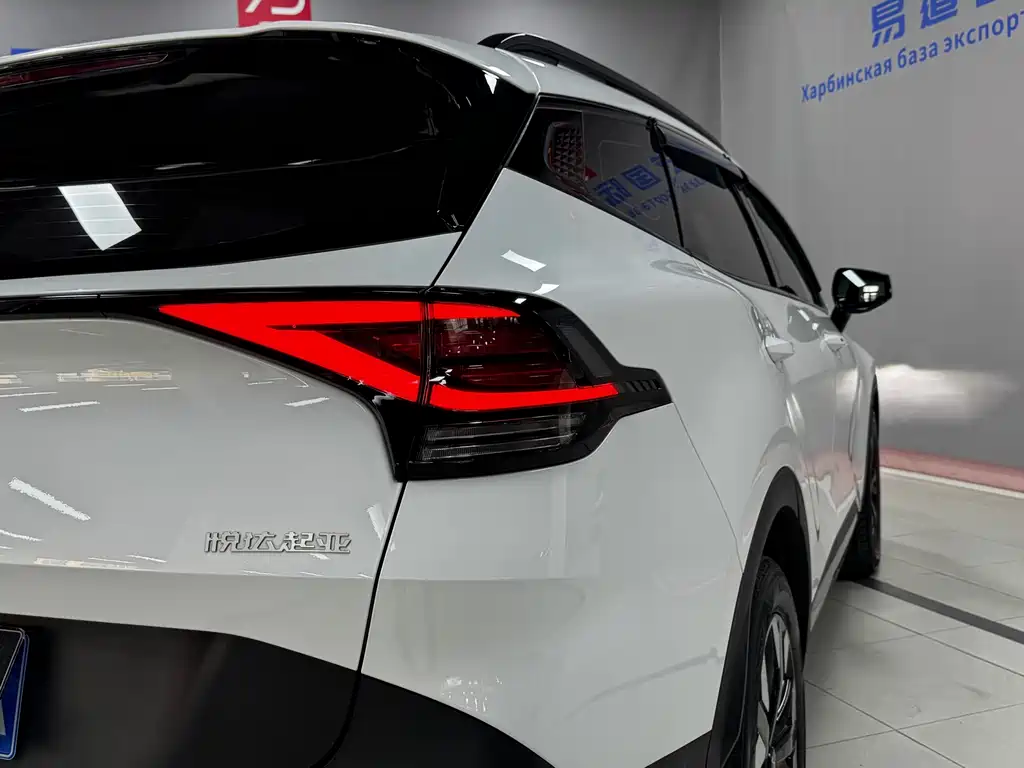 KIA LION PLATINUM EXPANDS THE WORLD