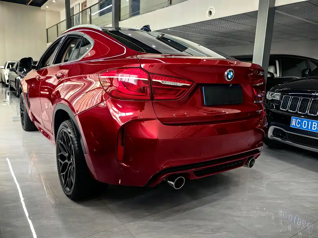 BMW X6 — миниатюра 6