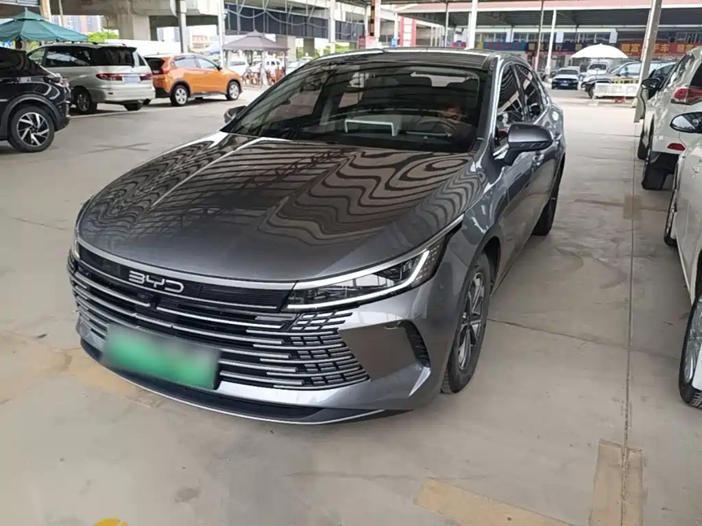 BYD Destroyer 05 2024 DM-i 55KM Luxury