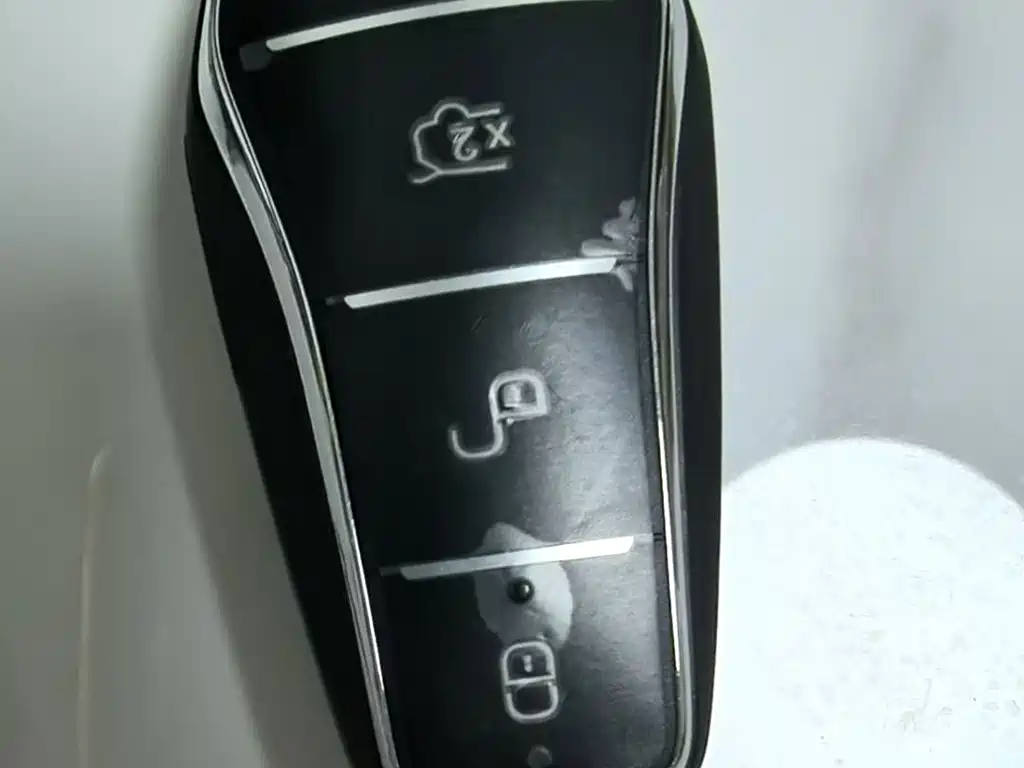 BYD Destroyer 05 2024 DM-i 55KM Luxury