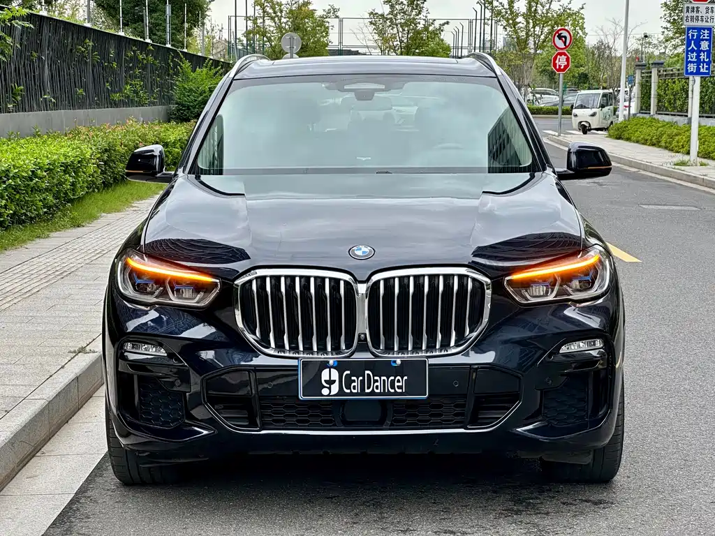 BMW X5 (Import) — миниатюра 2