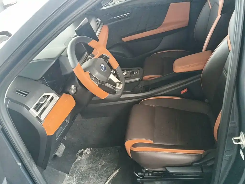 BYD e2 — миниатюра 15