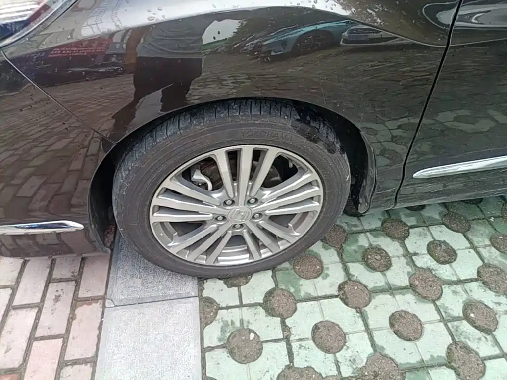 Honda Elysion — миниатюра 23