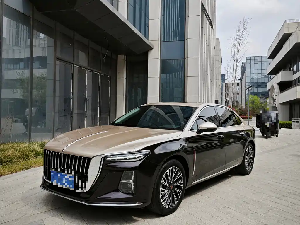 Hongqi Hongqi H5 2024