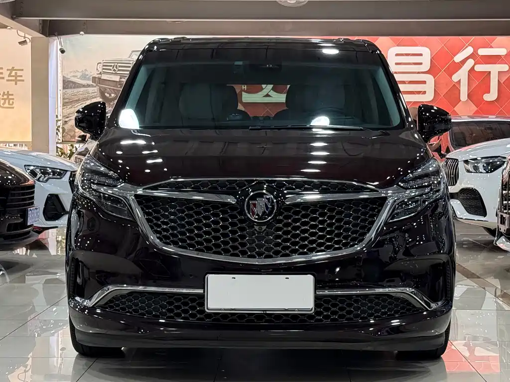 Buick GL8 — миниатюра 2