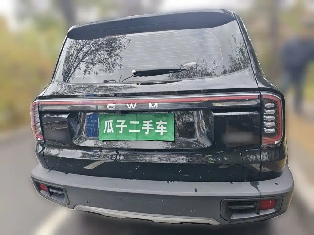 Haval Big Dog — миниатюра 5