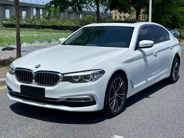 BMW 5-Series 2018 530 Li Leading