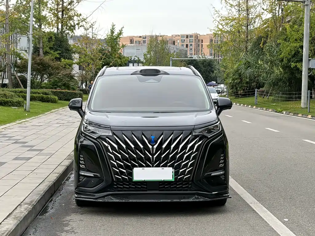 Denza Denza D9 — миниатюра 2