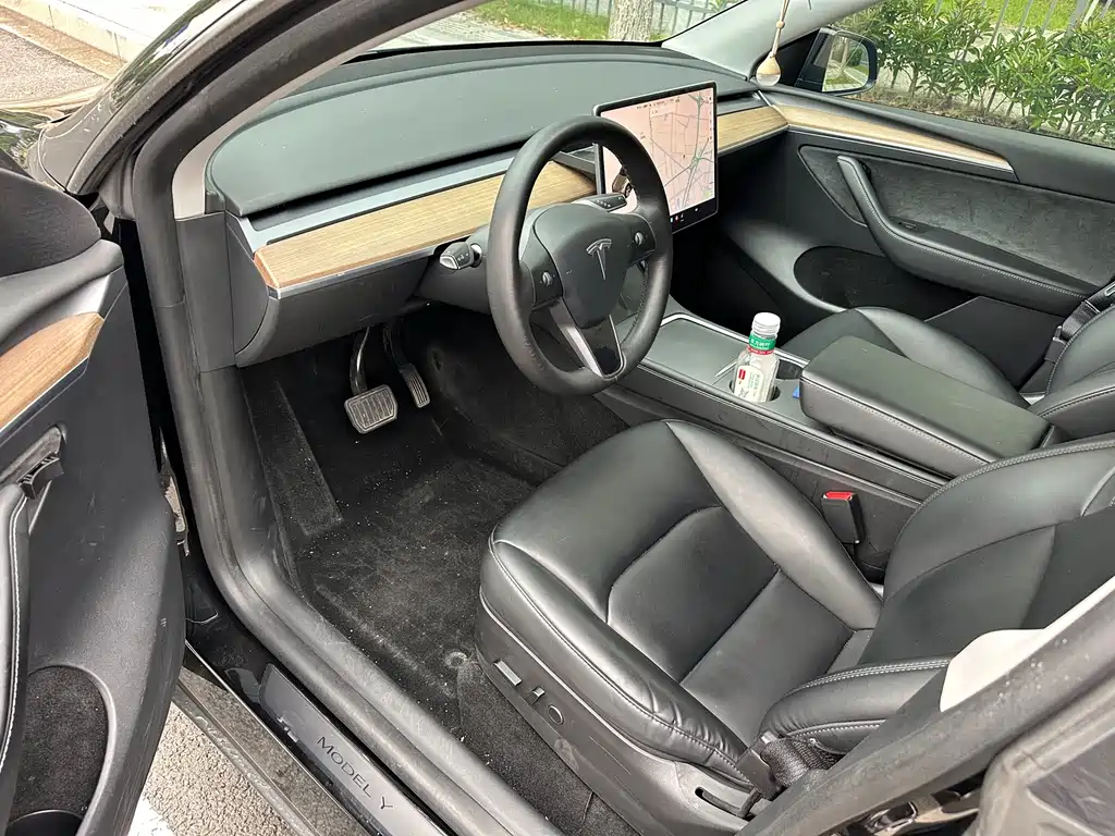 Tesla Model Y — миниатюра 11