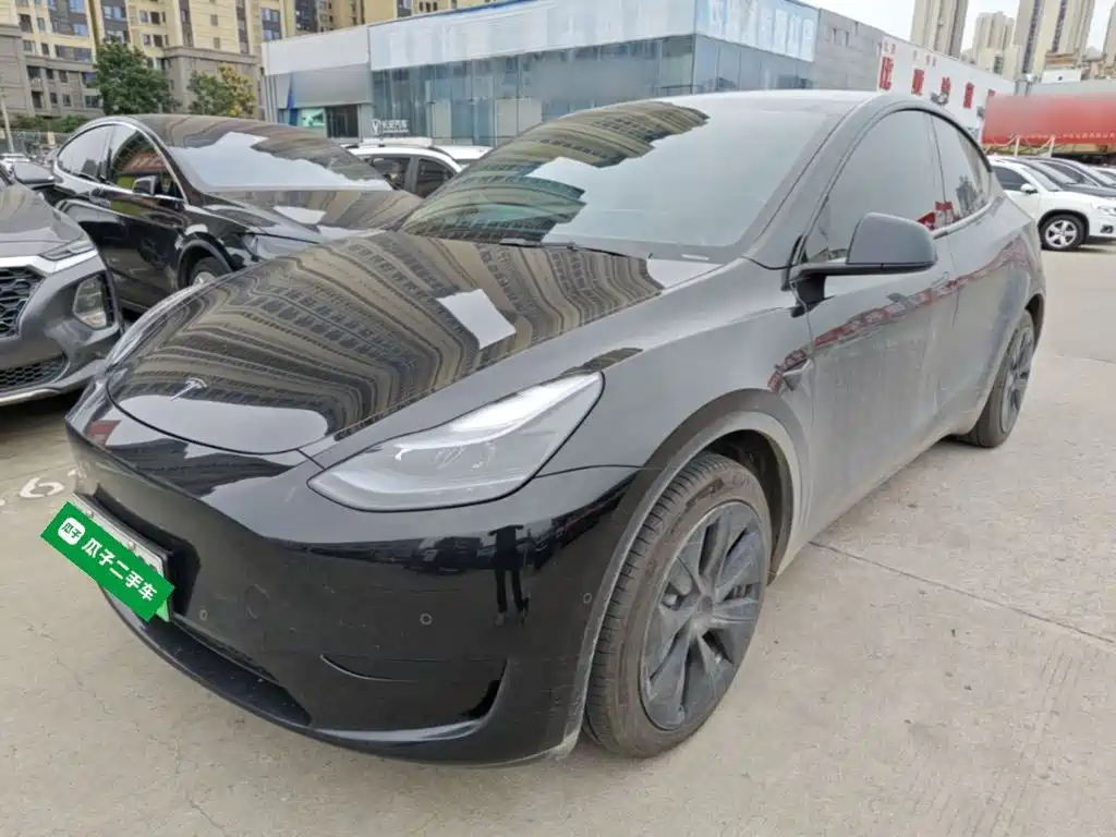 Tesla Model Y — миниатюра 2