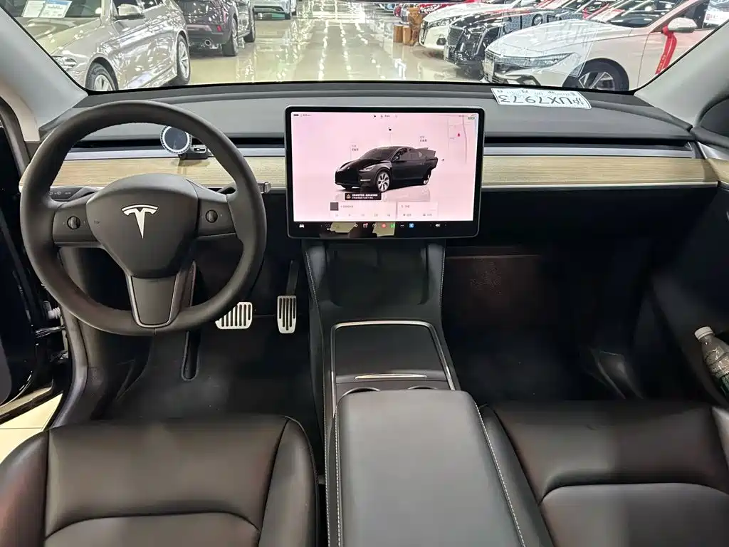Tesla Model Y — миниатюра 2