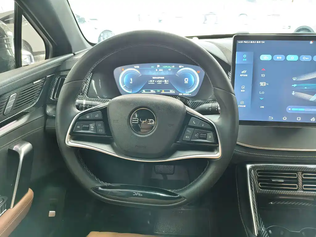 BYD Tang New Energy — миниатюра 11