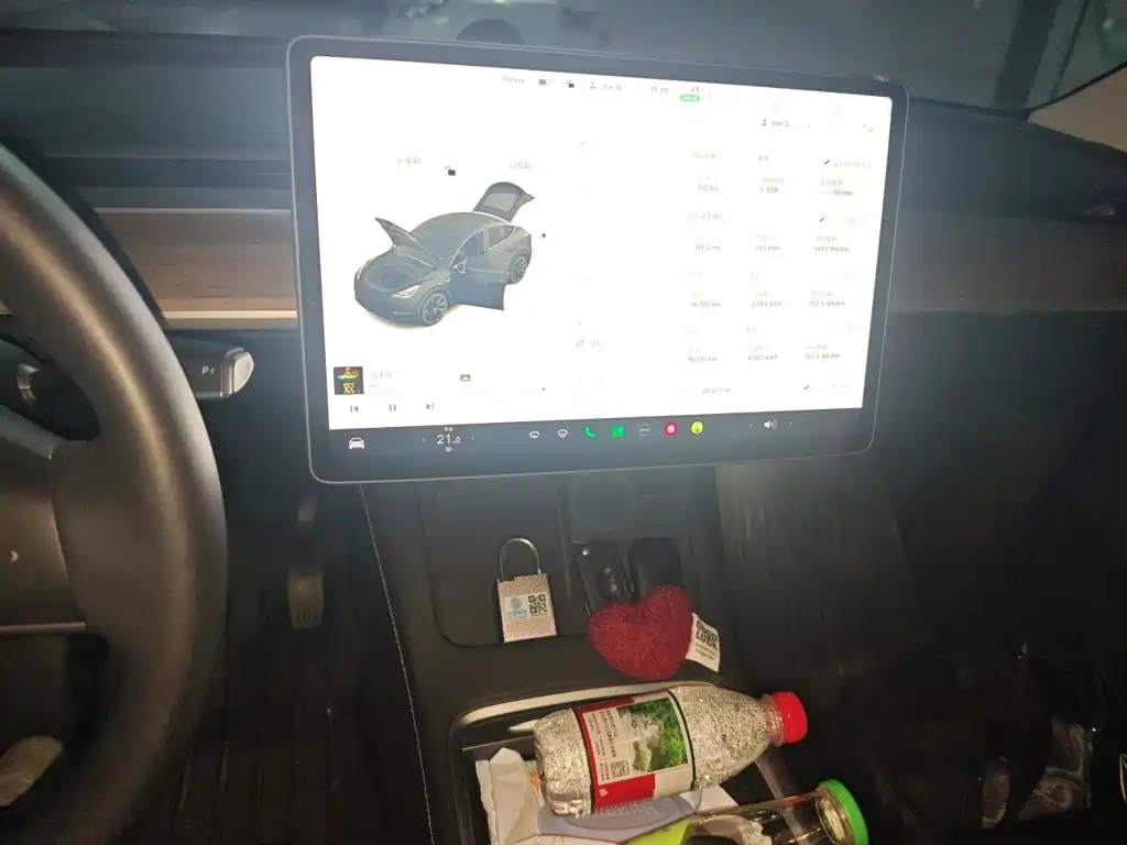 Tesla Model Y — миниатюра 15