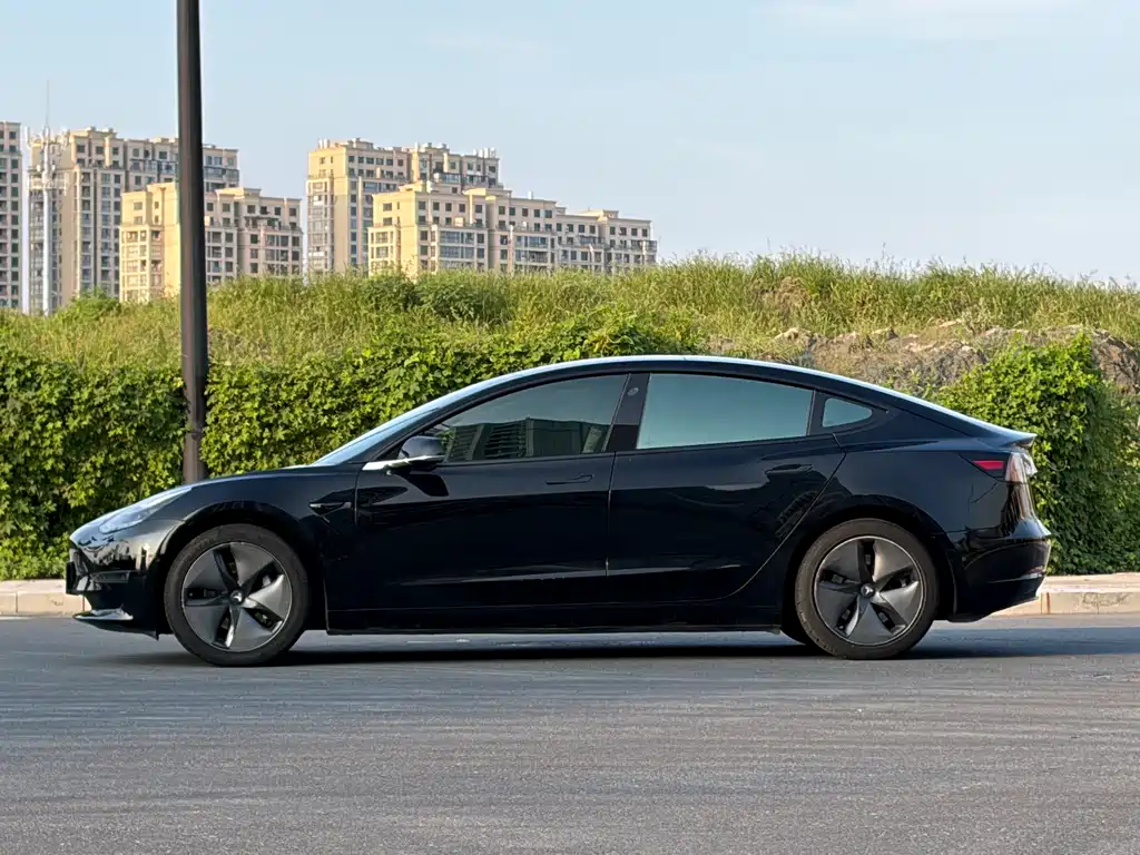 Tesla Model 3 — миниатюра 3
