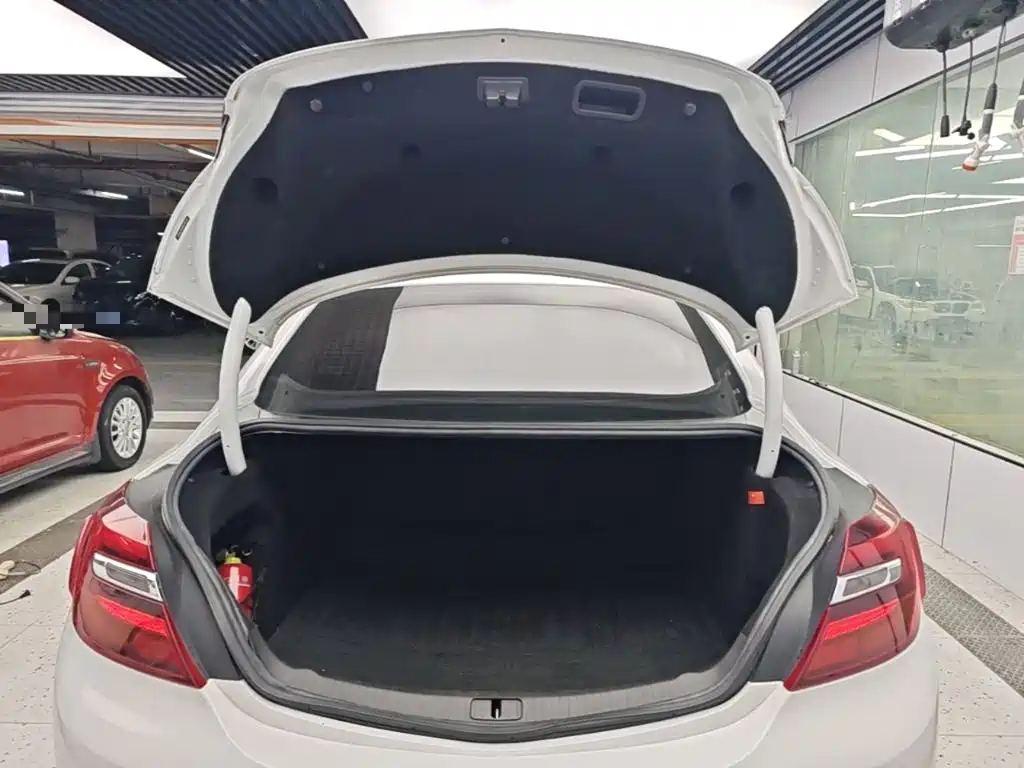 Buick Regal — миниатюра 19