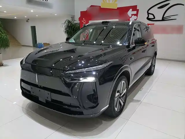 WEI PAI WEI BRAND BLUE MOUNTAIN 2024