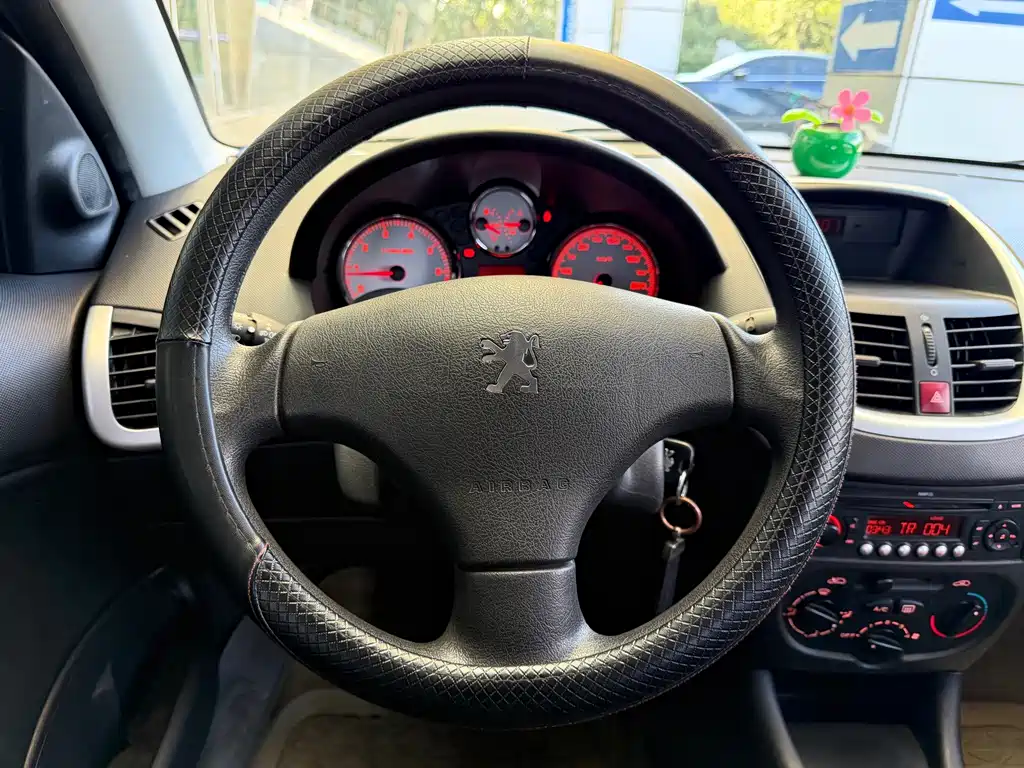 Peugeot 207 — миниатюра 23