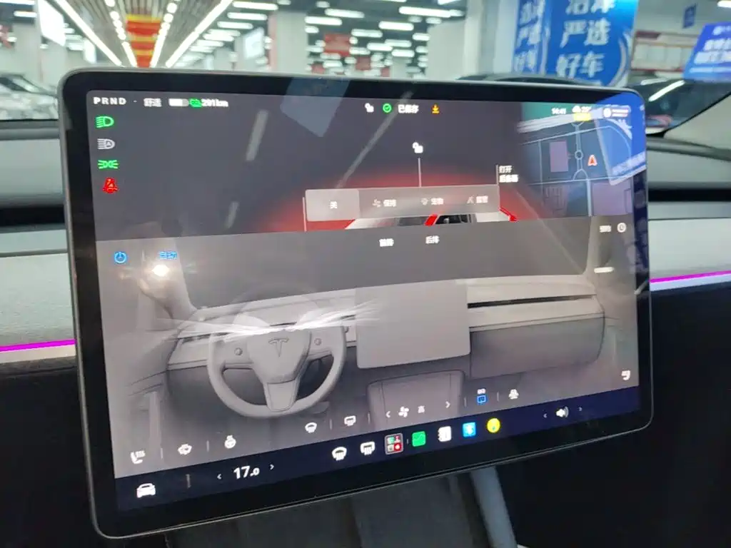 Tesla Model Y — миниатюра 13