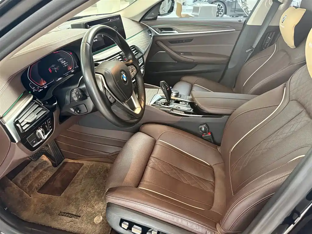 BMW 5 Series 5 2021 530Li Premium Luxury