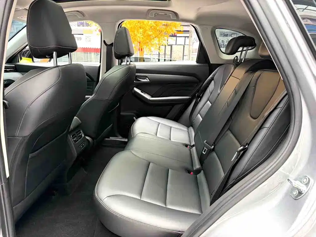 Haval Chitu — миниатюра 6