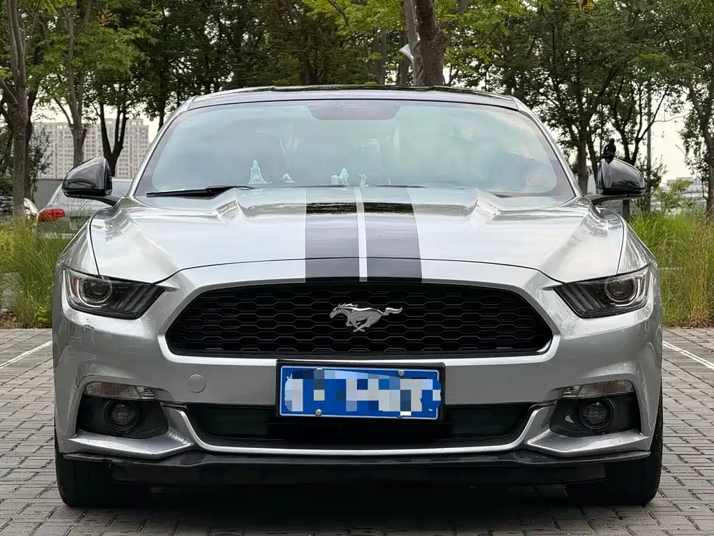 Ford Mustang — миниатюра 2