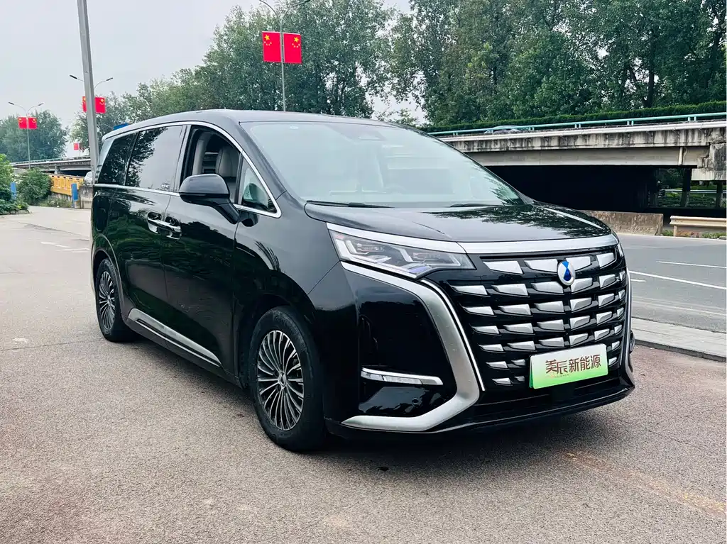 Denza Denza D9 — миниатюра 3