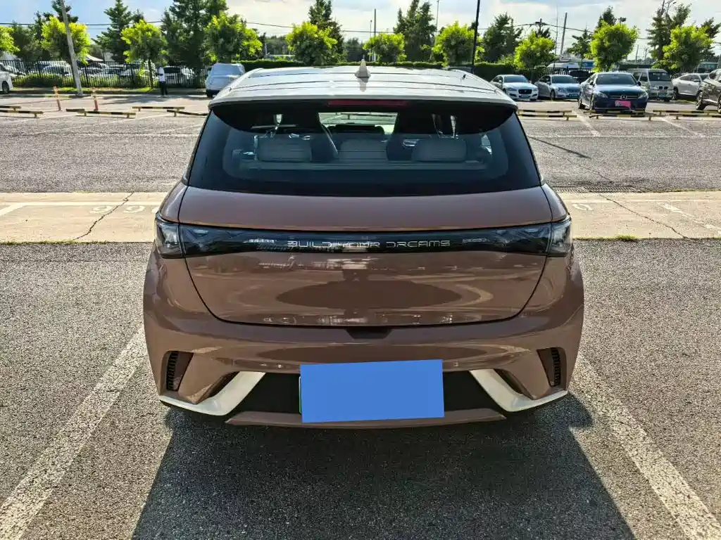 BYD Dolphin — миниатюра 5