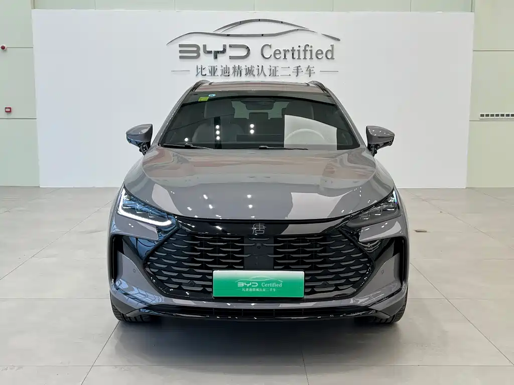 BYD Tang New Energy — миниатюра 2