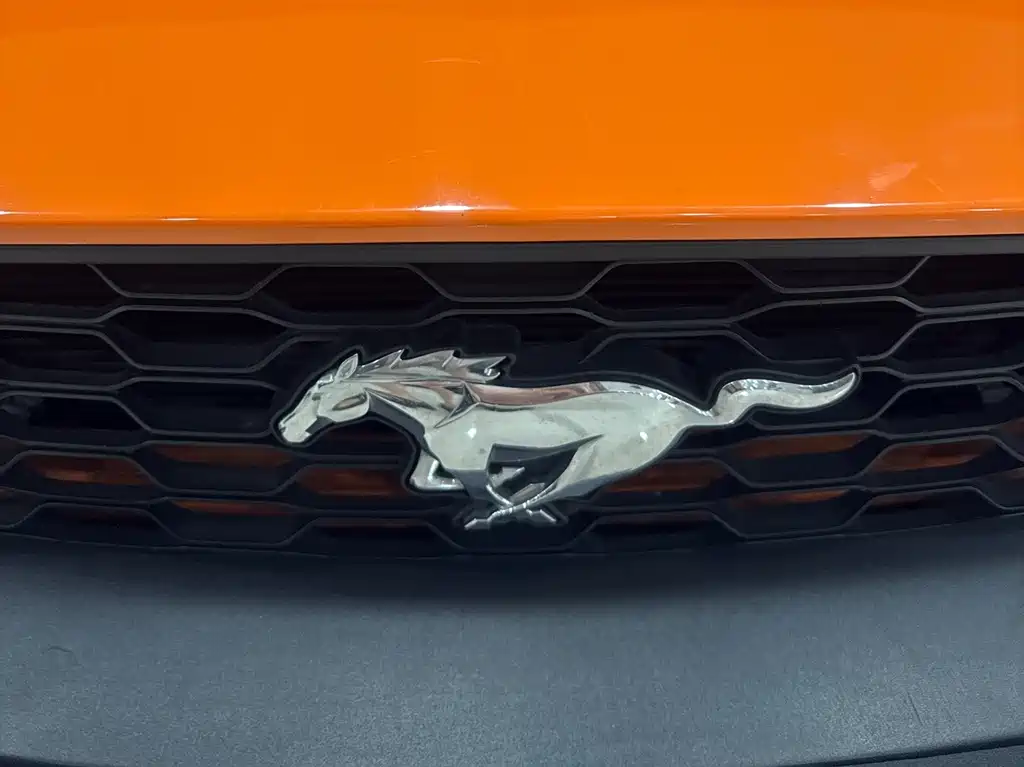 FORD MUSTANG