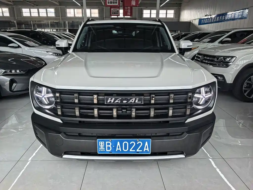 Haval Cool Dog — миниатюра 2
