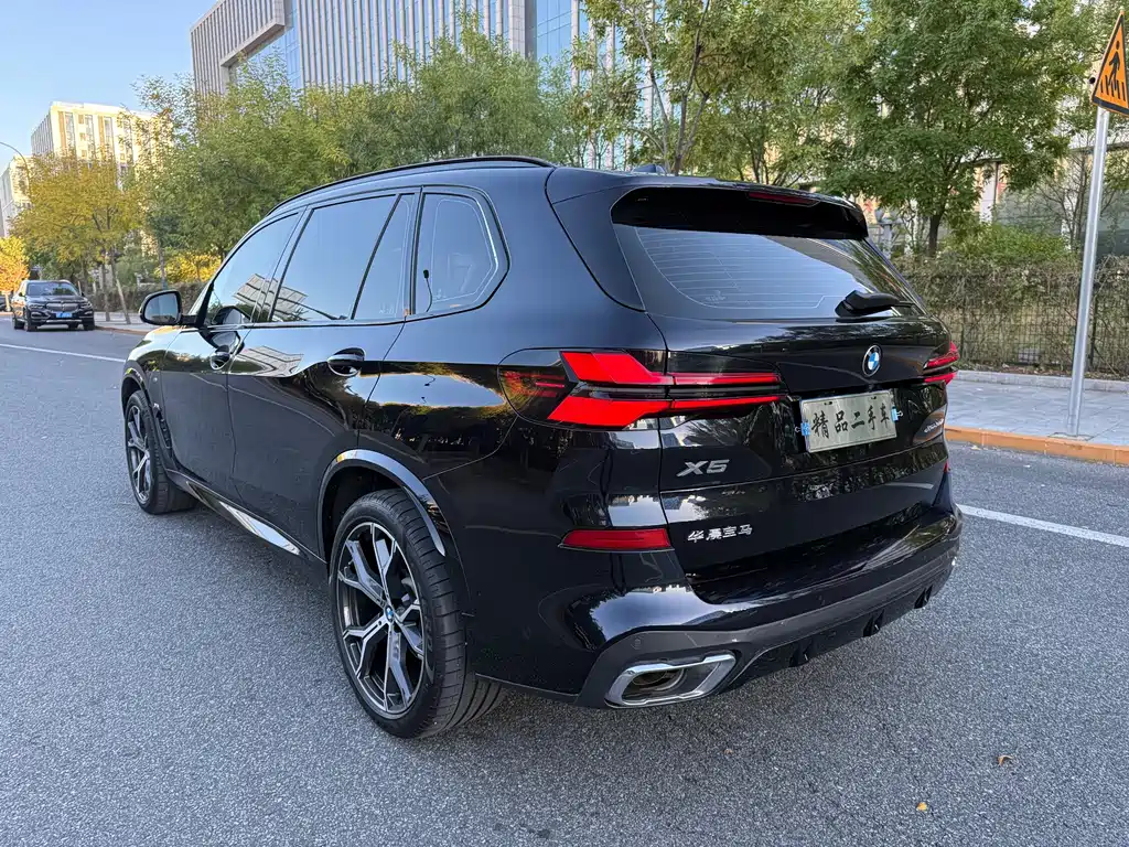 BMW X5 — миниатюра 6