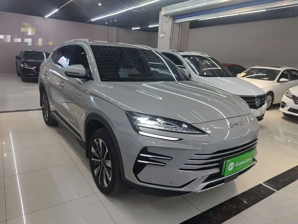 BYD PLUS New Energy — миниатюра 4