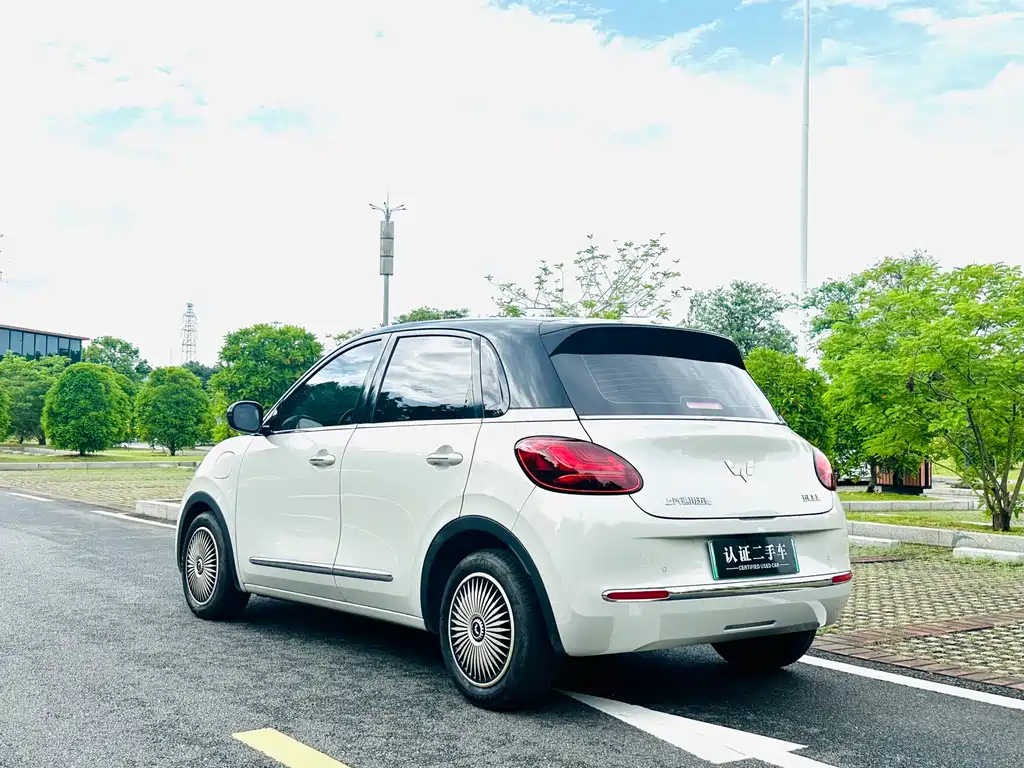 Wuling Binguo 2023 333km Enjoy