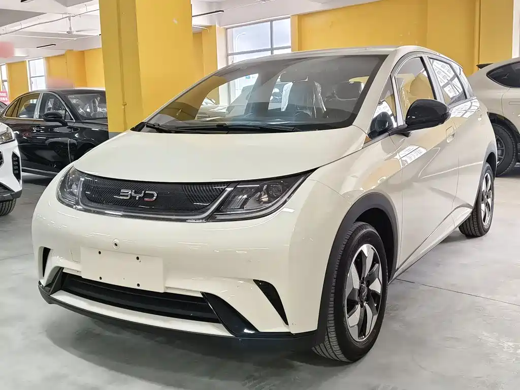 BYD Dolphin — миниатюра 2