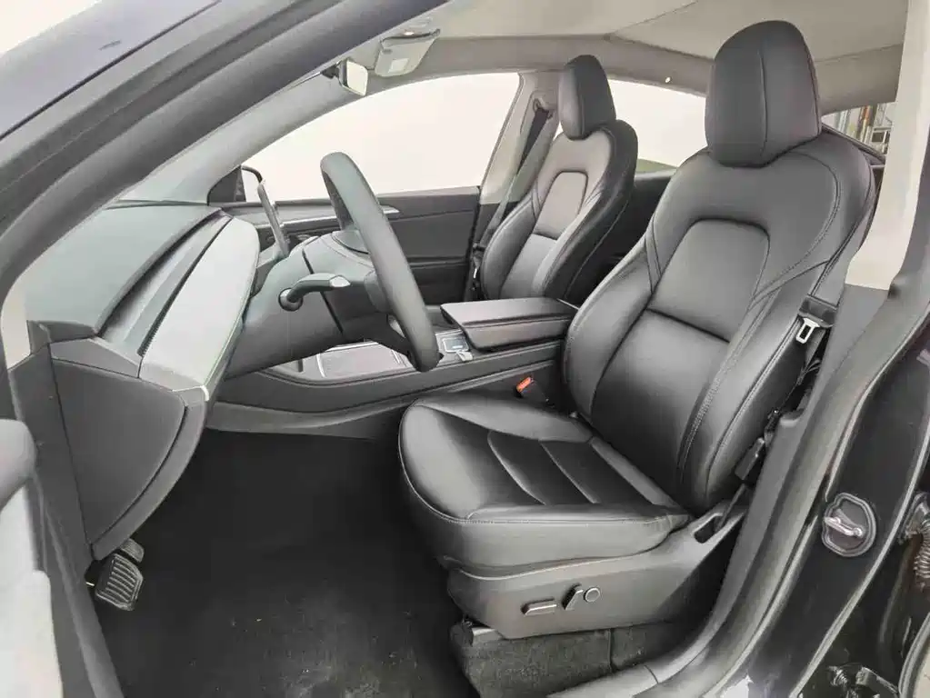Tesla Model Y — миниатюра 4