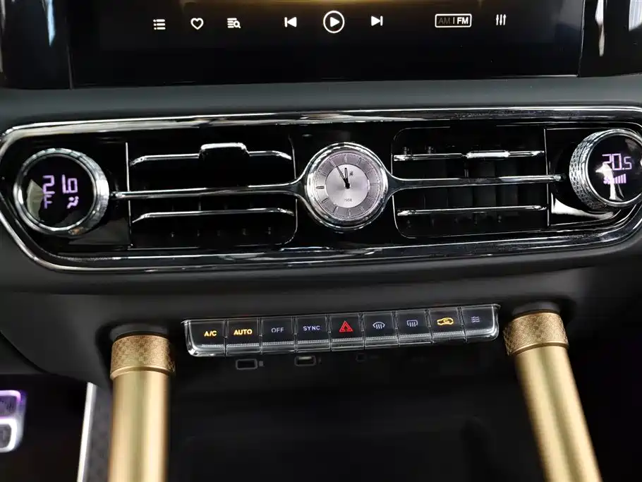 Hongqi Golden Sunflower Guoyao 4.0T Premium Baron Flagship Edition 4 seats, фото 17