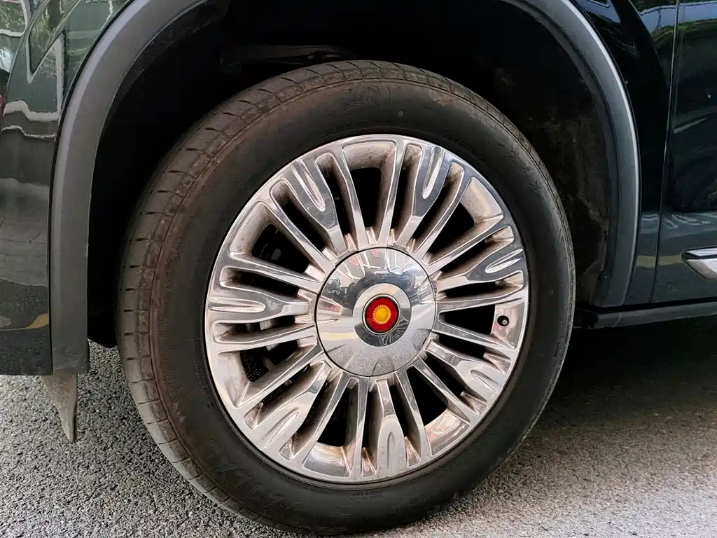 Hongqi Golden Sunflower Guoyao 4.0T Premium Baron Flagship Edition 4 seats, фото 30