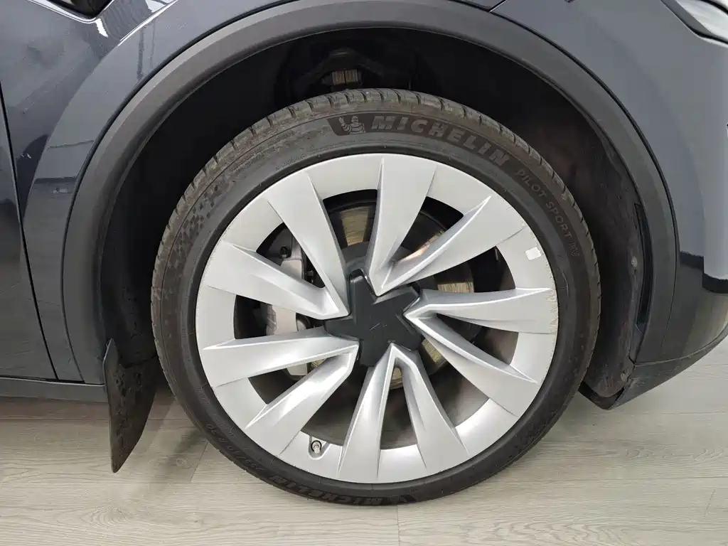 Tesla Model Y — миниатюра 54