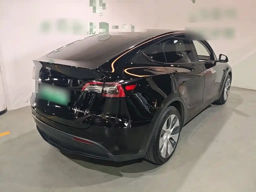 Tesla Model Y — миниатюра 7