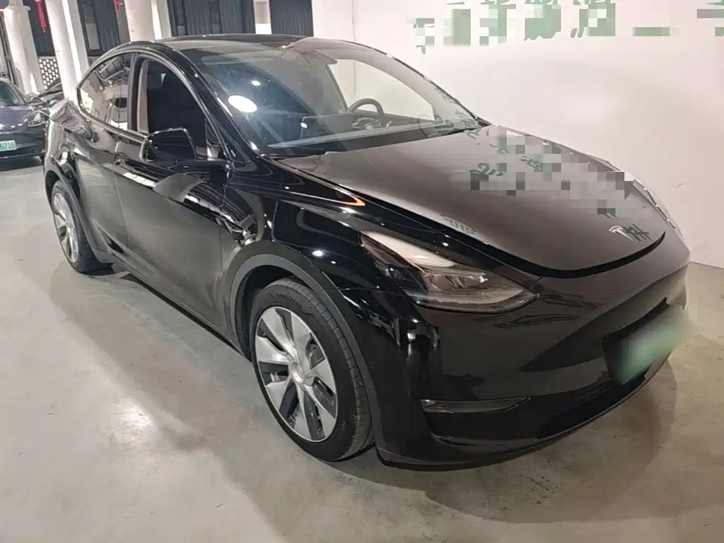 Tesla Model Y — миниатюра 4