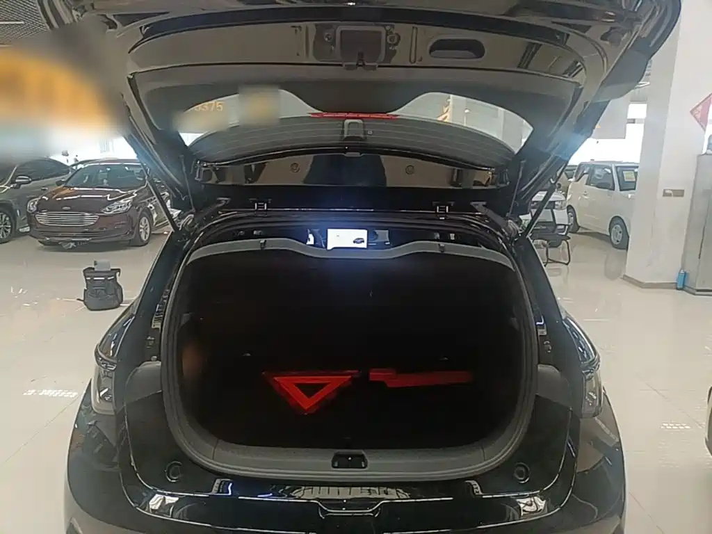 BYD Dolphin — миниатюра 19