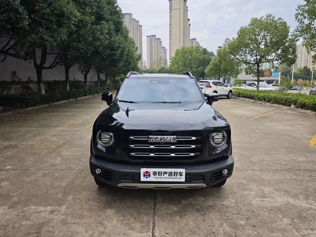 Haval Big Dog