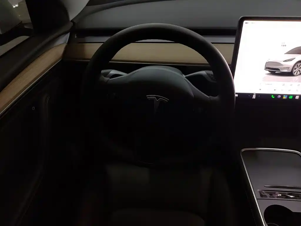 Tesla Model Y — миниатюра 11