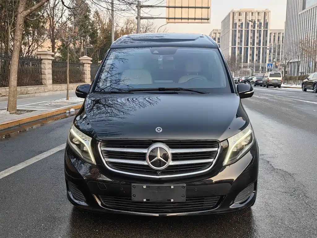Mercedes-Benz V-Class V 2018 V 260 L Luxury Long Wheelbase VI