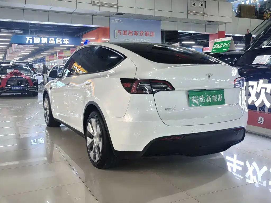 Tesla Model Y — миниатюра 18