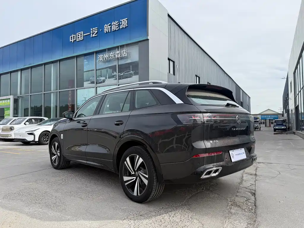 Volkswagen Tavendor — миниатюра 16