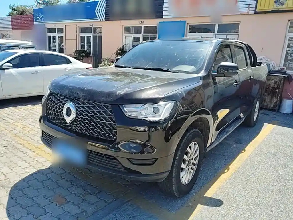 Great Wall Pao — миниатюра 2