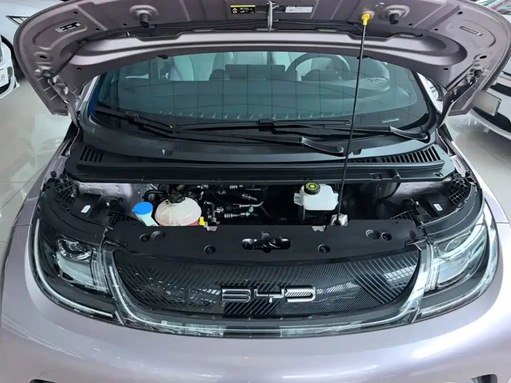 BYD Dolphin — миниатюра 20